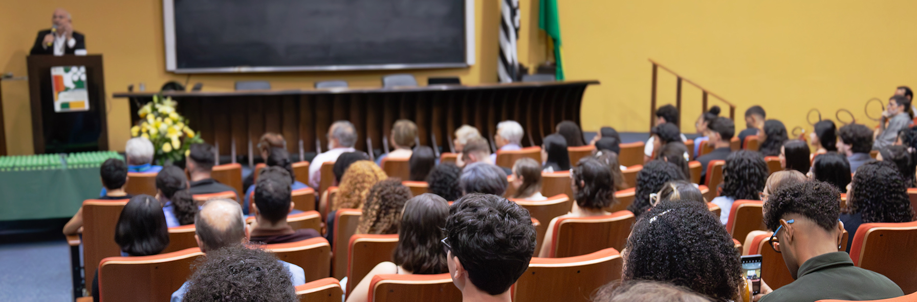 Banner Institucional